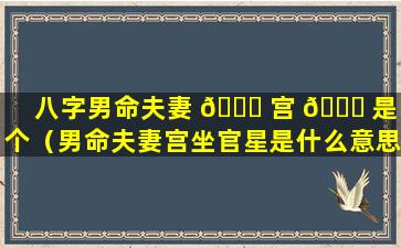 八字男命夫妻 🐝 宫 💐 是哪个（男命夫妻宫坐官星是什么意思）